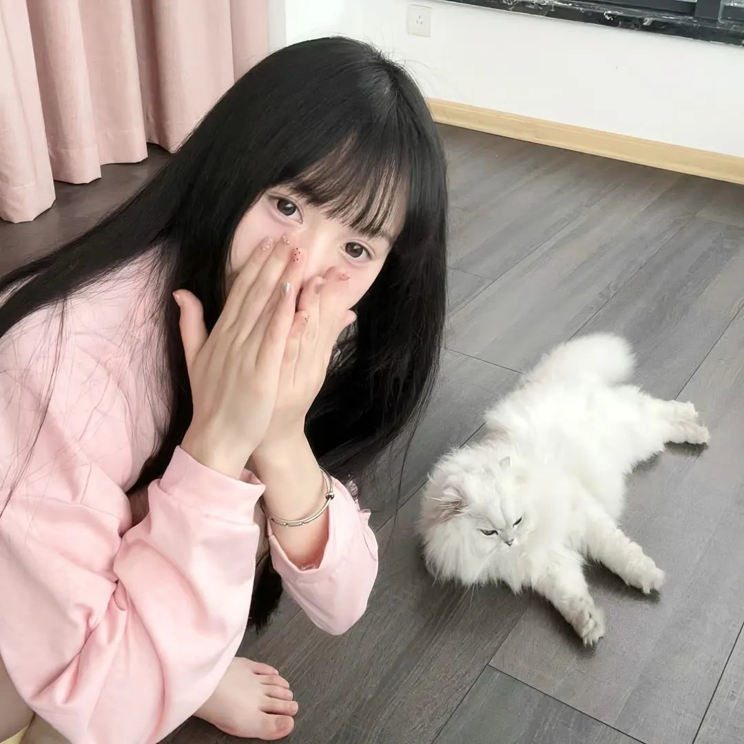 女猫